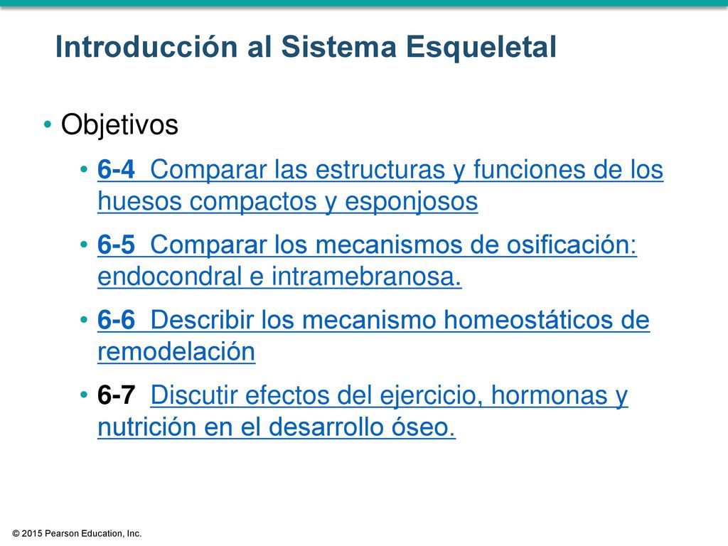 mecanismo de nutricion del tejido oseo